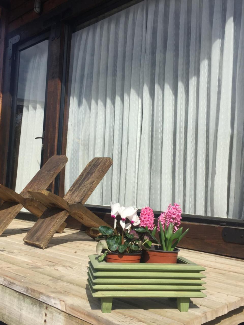 Palo Santo Bed and Breakfast Pichilemu Eksteriør billede