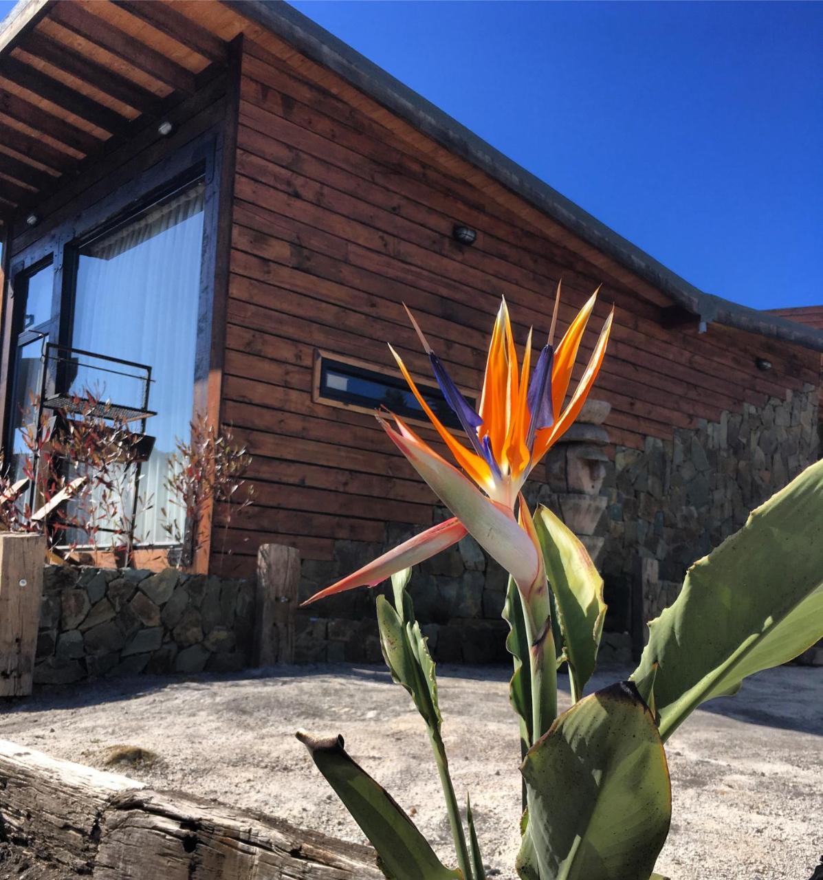 Palo Santo Bed and Breakfast Pichilemu Eksteriør billede